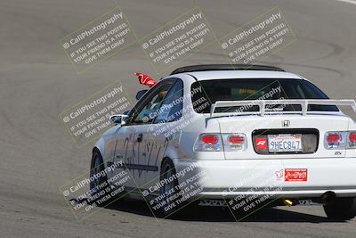 media/Nov-03-2023-Club Racer Events (Fri) [[fd9eff64e3]]/Green/Back Shots/